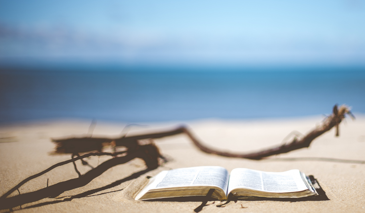 Recent Enhancements / 2017 Outlook