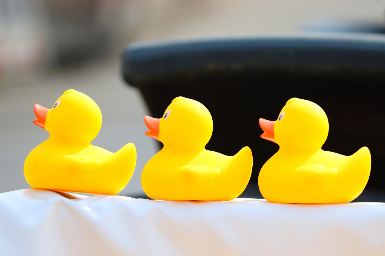 Are ALL Your Ducks in a Row?