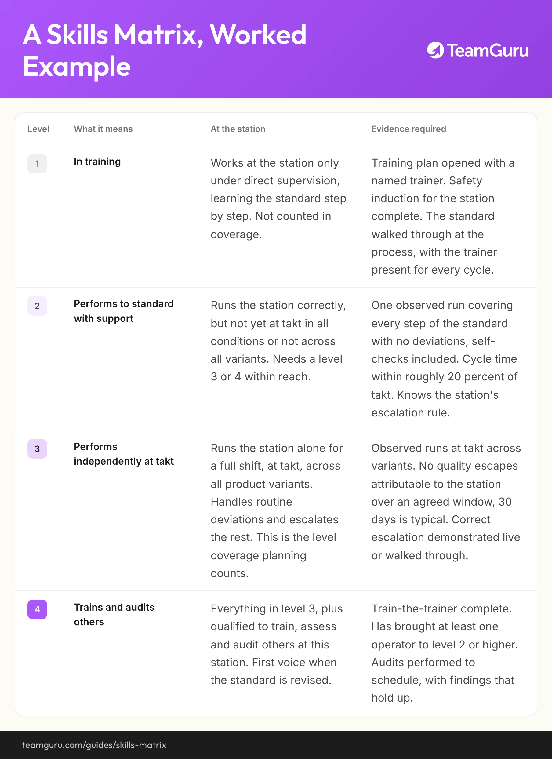 Skills Matrix implementation diagram (TeamGuru guide)